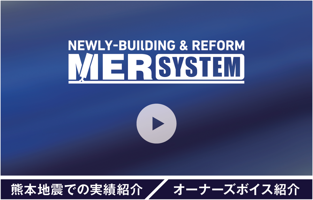 MER SYSTEM